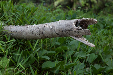 Wood remains