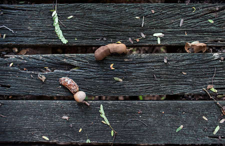 old boardの写真素材