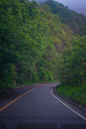 Road in the forest at Khao Yai National Park, Guatemalaの写真素材