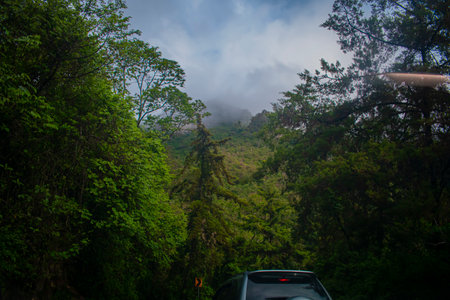 View on the road in the mountains, go to the forest.