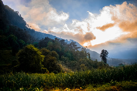 Mountain View at Doi Pha Tang in Chiangrai Province, guatamala zunil