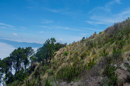 Mountain view of Doi Pha Tang at Chiangrai province, Thailand.の写真素材