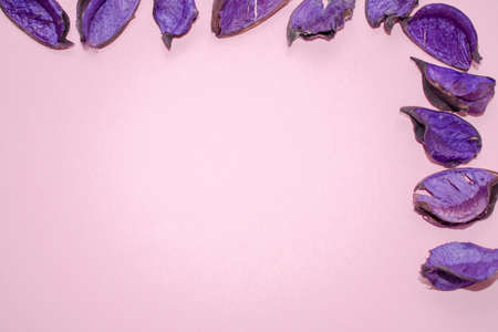 Dry purple leaves making a frame over a pale pink cardboard, with copy space. Purple leaves on the right and on the top.の写真素材