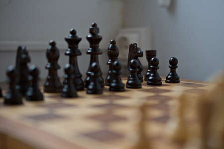 Vision of the black side of the chess board.