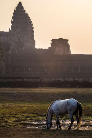 Angkor Wat Temple in Cambodiaの写真素材