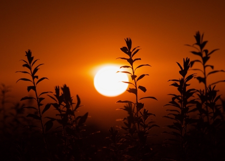 Sunsetの写真素材