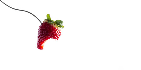 strawberryの写真素材