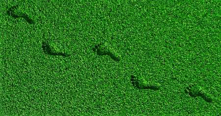 footprints on the grass in green grassの写真素材
