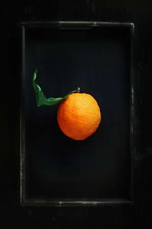 Orange on the tray on dark background.の写真素材
