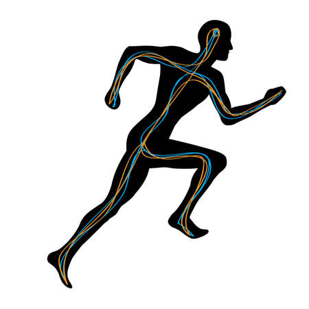 Man Running Showing Two Pathways Connecting Brain to Musclesのイラスト素材