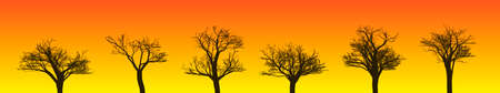 Illustration of Six Tree Silhouettes Against Orange/Yellow Sky