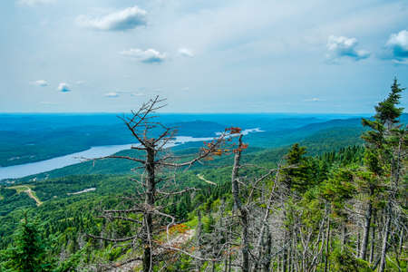 View of a northern lake from the top of a mountainの写真素材