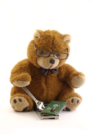 teddy bear repairing a hard drive from a laptop isolated in a white backgroundの写真素材