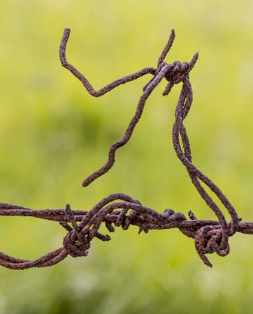 Close up of rusted entangled barbed wire making knots, with a beautiful pale green backround, Tenjo,...