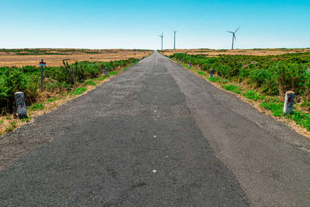 Empty road on a plateau on the island of Madeira. Paul Serra.の写真素材