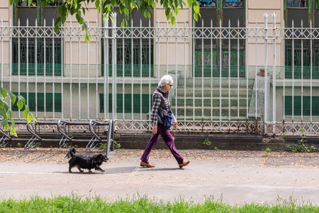 Streets of Milan / Milan / Italy - July 3, 2019: Lady walking her dog.のeditorial素材