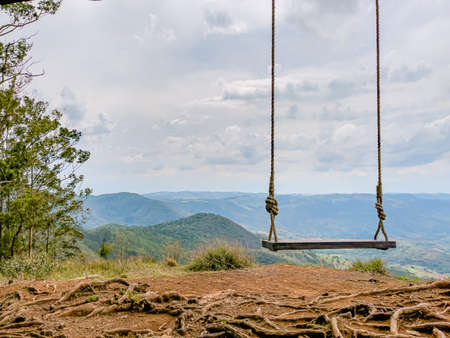 A rustic wooden swing hanging from a tree with rope.の写真素材