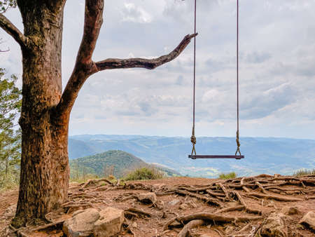A rustic wooden swing hanging from a tree with rope.の写真素材