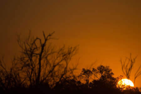 Sunrise in natureの写真素材