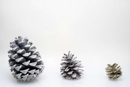 Three kind of cones in the bottom third on white backgroundの写真素材