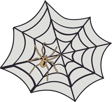 cobweb and spider designのイラスト素材