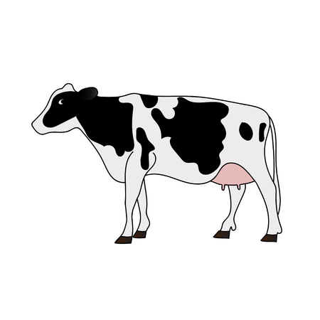 Holstein Cowのイラスト素材
