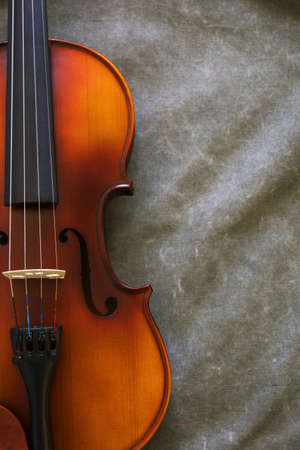 violinの写真素材