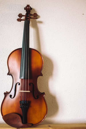 violinの写真素材