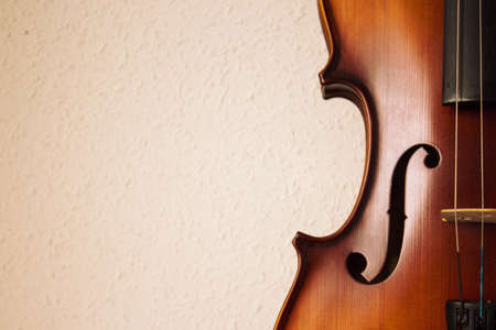 violinの写真素材