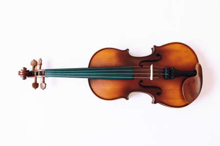 Fiddleの写真素材