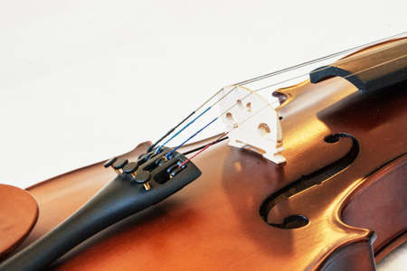 Fiddle