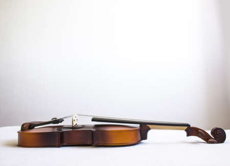 Fiddleの写真素材