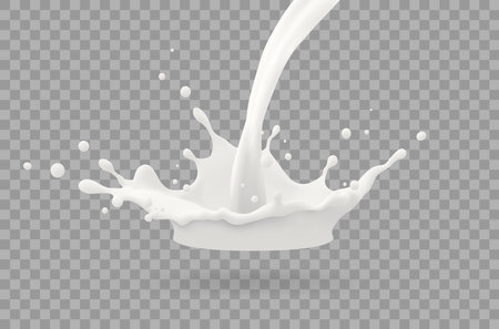 Milk jet, milky splash, vector realistic liquid white splash on isolated background. 3d illustrationのイラスト素材