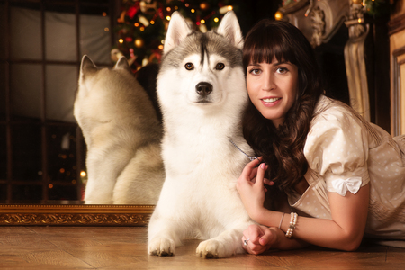 Young beautiful woman with husky dogs in a Christmas setting.の写真素材