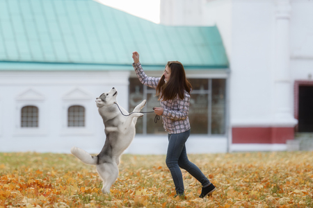 girl plays with her dog in fallen autumn leavesの写真素材