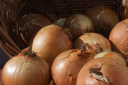 white sweet onion laying in a busketの写真素材