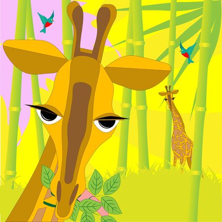 mug of the giraffe on background bamboo woodのイラスト素材