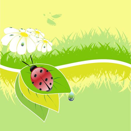 Ladybird on sheet with dew and butterfliesのイラスト素材