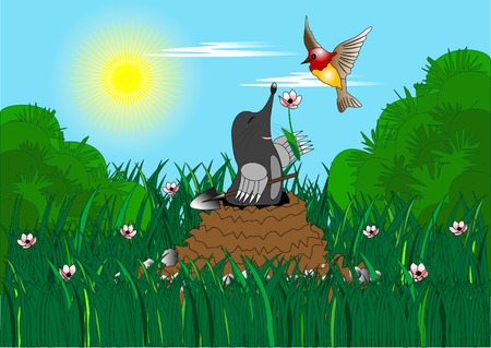 Moleのイラスト素材