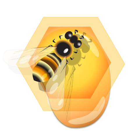 Bee and honeyのイラスト素材