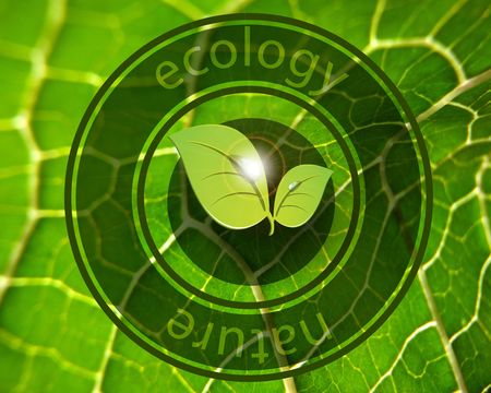 Ecoの写真素材