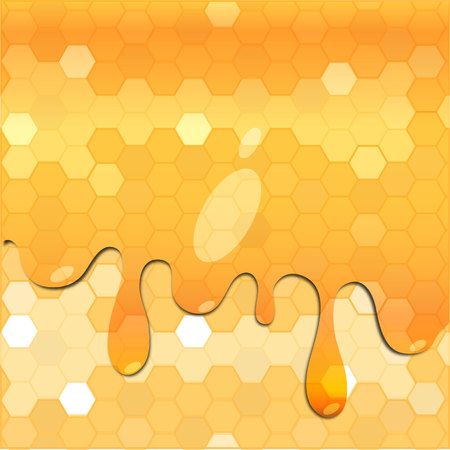 Honeyのイラスト素材