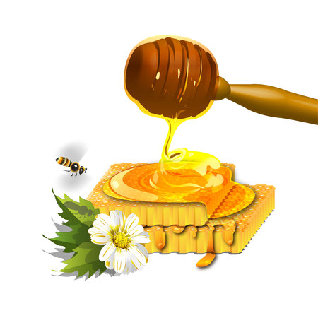 Honeyのイラスト素材