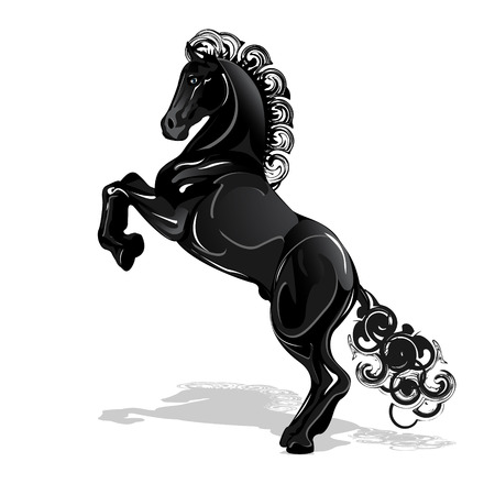 black horseのイラスト素材