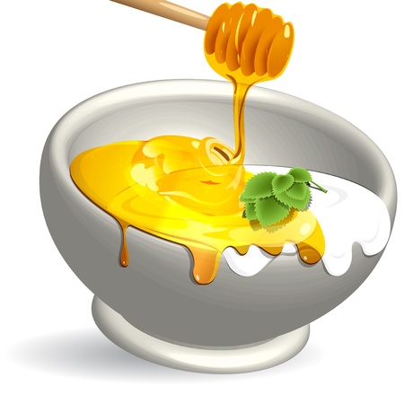 dairy product and honeyのイラスト素材
