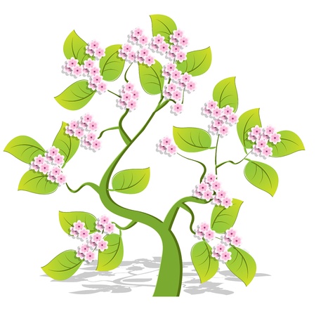 Illustration, single flowering tree on white backgroundのイラスト素材