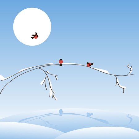 illustration, bullfinch on a tree branch in winterのイラスト素材