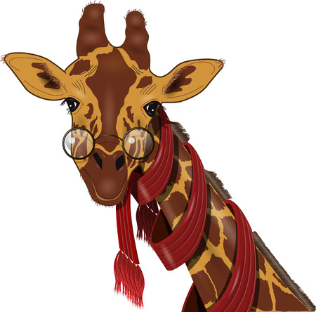 illustration of giraffe in a red scarfのイラスト素材