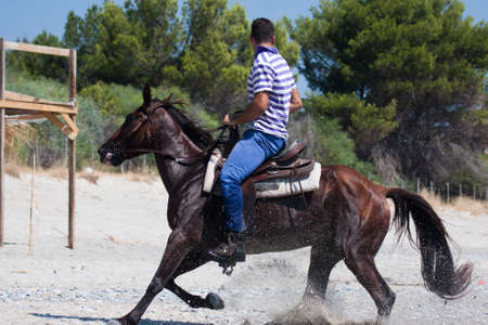 horse riding