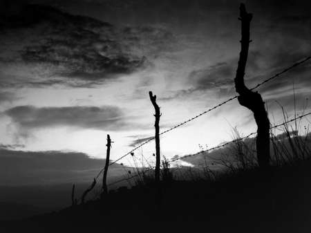 Sunset white to black